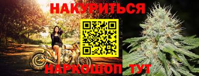 крисы Владикавказ
