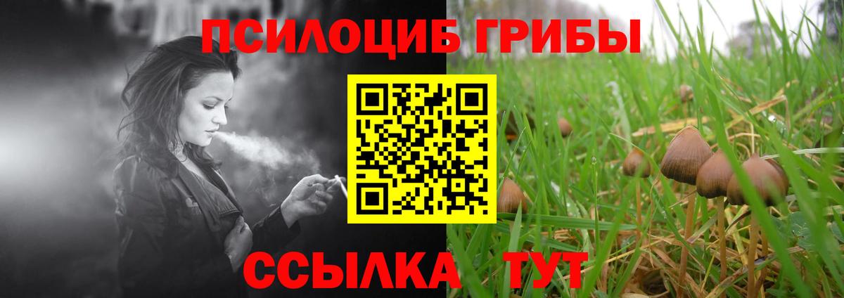 Псилоцибиновые грибы Magic Shrooms Вольск