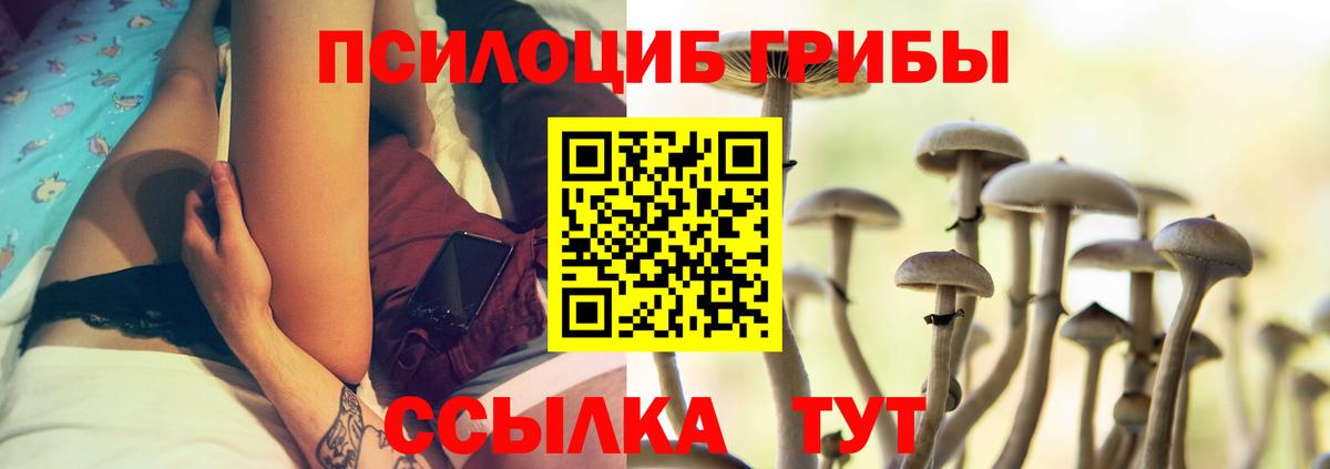 Галлюциногенные грибы Psilocybe  Галлюциногенные грибы ЛСД  Вход с VPN  Вольск 